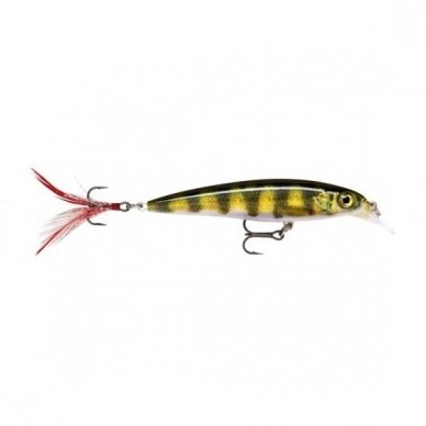 Vobleris RAPALA X-Rap Deep 10cm 3