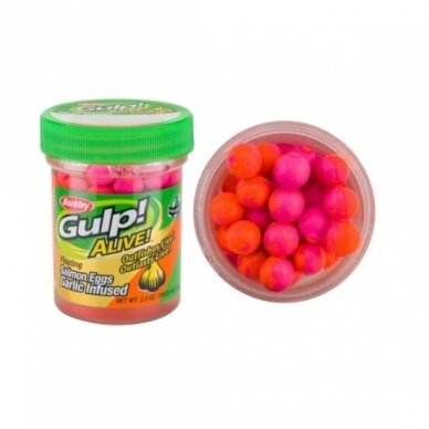 Pasta Upėtakiams Powerbait Gliter Trout Plaukianti Gulp! Alive!® Floating Salmon Eggs Šerbeto Spalvos Česnakas 1