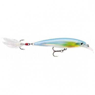 Vobleris RAPALA X-Rap Deep 10cm 6