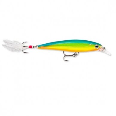 Vobleris RAPALA X-Rap Deep 10cm 4