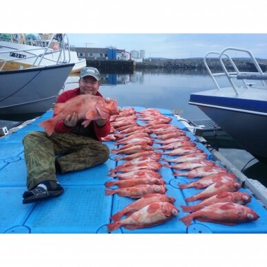 Svarelis Jūrinis 500g Dengtas Gumuotas Mėlynas Norvegijai Purpurinių Ešerių Žvejybai Rapala Elbe + 700g / 900g / 300g