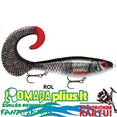 Vobleris RAPALA X-Rap 25cm 2