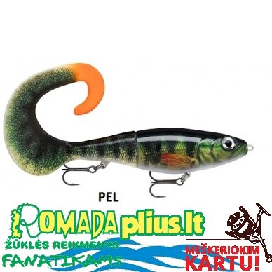 Vobleris RAPALA X-Rap 25cm 3