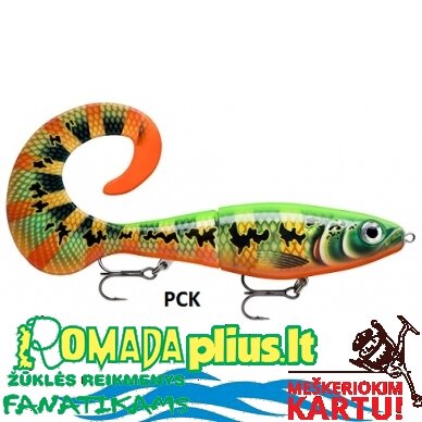 Vobleris RAPALA X-Rap 25cm 4