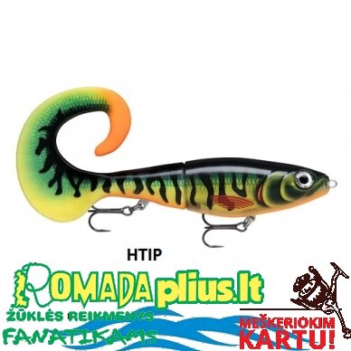 Vobleris RAPALA X-Rap 25cm 6