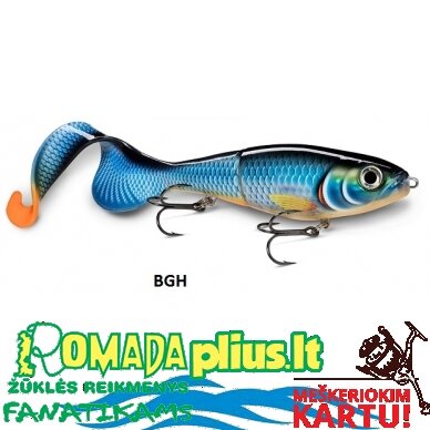 Vobleris RAPALA X-Rap 25cm 7